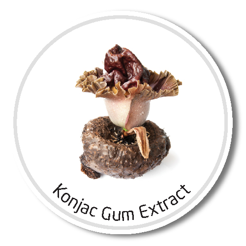 konjac-gum-extract_1