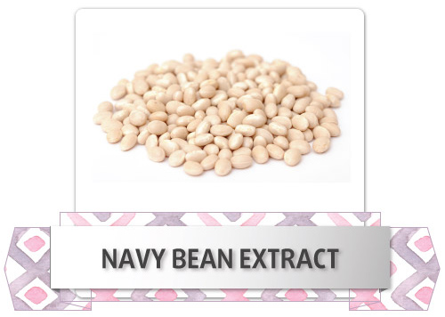 navy-bean-extract